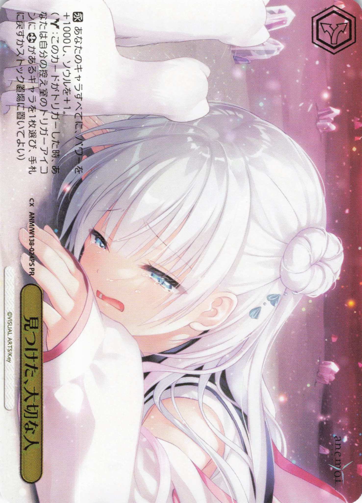 見つけた、大切な人(PR)(ANM/W138-024PS)